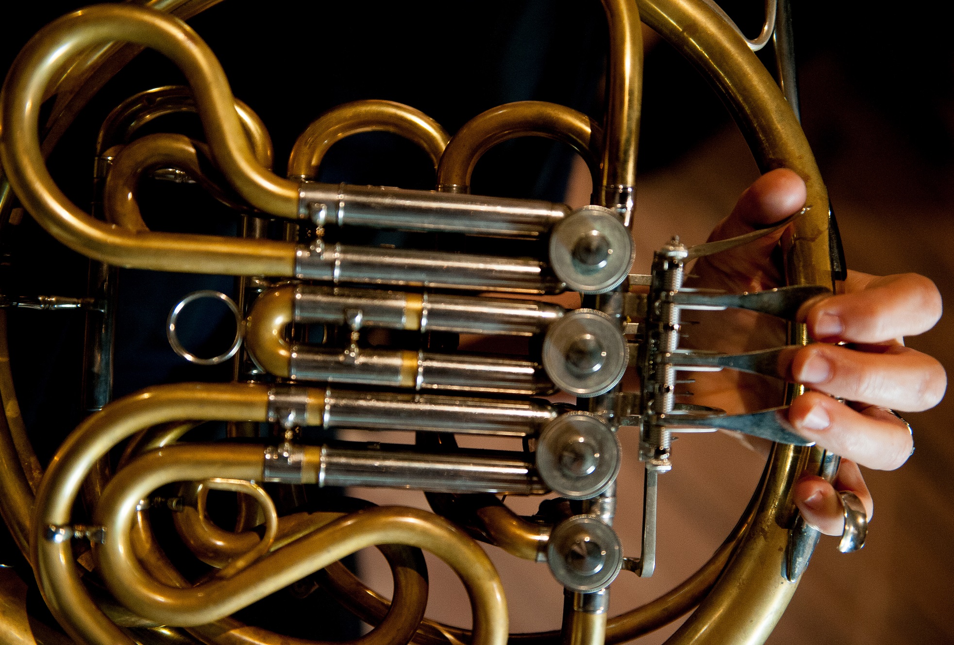 Horn a Plenty! Lansing Symphony Orchestra